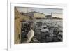 Whooper Swans (Cygnus Cygnus) and Other Waterfowl on Tjörnin (The Pond) Reykjavik-Terry Whittaker-Framed Photographic Print