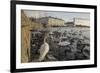 Whooper Swans (Cygnus Cygnus) and Other Waterfowl on Tjörnin (The Pond) Reykjavik-Terry Whittaker-Framed Photographic Print