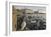 Whooper Swans (Cygnus Cygnus) and Other Waterfowl on Tjörnin (The Pond) Reykjavik-Terry Whittaker-Framed Photographic Print