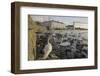 Whooper Swans (Cygnus Cygnus) and Other Waterfowl on Tjörnin (The Pond) Reykjavik-Terry Whittaker-Framed Photographic Print