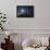 Whooper Swans (Cygnus Cygnus) Flying in Formation over Oak Trees, Matsalu National Park, Estonia-Rautiainen-Framed Stretched Canvas displayed on a wall