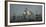 Whooper Swans (Cygnus Cygnus) Juvenile with Adults Behind, on Frozen Lake Kussharo, Hokkaido, Japan-Wim van den Heever-Framed Photographic Print