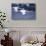 Whooper Swans Flying over Lake-DLILLC-Photographic Print displayed on a wall