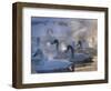 Whooper swans, Hokkaido Island, Japan-Art Wolfe-Framed Photographic Print