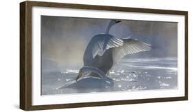 Whooper swans, Hokkaido, Japan-Art Wolfe-Framed Photographic Print