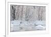 Whooper swans in lake, Laukaa, Central Finland-Jussi Murtosaari-Framed Photographic Print