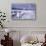 Whooper Swans on Frozen Lake-DLILLC-Photographic Print displayed on a wall