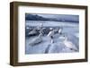 Whooper Swans on Frozen Lake-DLILLC-Framed Photographic Print