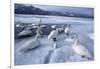 Whooper Swans on Frozen Lake-DLILLC-Framed Photographic Print