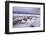 Whooper Swans on Frozen Lake-DLILLC-Framed Photographic Print