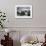 Whooper Swans on Icy Lake-DLILLC-Framed Photographic Print displayed on a wall