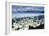 Whooper Swans on Lake, Winter-null-Framed Photographic Print