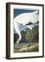 Whooping Crane, Adult Male, 1834-John James Audubon-Framed Giclee Print