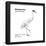 Whooping Crane (Grus Americana), Birds-Encyclopaedia Britannica-Framed Poster