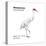 Whooping Crane (Grus Americana), Birds-Encyclopaedia Britannica-Stretched Canvas