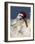 Whooping Crane Preens Feathers in Early Morning Light, Lake Kissimmee, Florida, USA-Arthur Morris-Framed Photographic Print