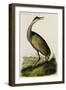 Whooping Crane-John James Audubon-Framed Art Print
