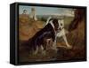 Whos to Have the Stick, 1820-Edwin Landseer-Framed Stretched Canvas