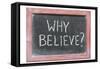 Why Believe-Yury Zap-Framed Stretched Canvas