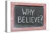 Why Believe-Yury Zap-Stretched Canvas