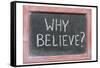 Why Believe-Yury Zap-Framed Stretched Canvas