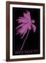 Why Not-Tony Koukos-Framed Giclee Print