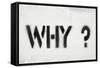 Why Question-Yury Zap-Framed Stretched Canvas