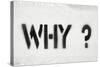 Why Question-Yury Zap-Stretched Canvas