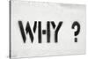 Why Question-Yury Zap-Stretched Canvas