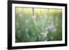 Wicke on Meadow-Jean Schwarz-Framed Photographic Print