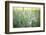 Wicke on Meadow-Jean Schwarz-Framed Photographic Print