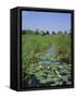 Wicken Fen and Wind Pump, Cambridgeshire, England, UK-Roy Rainford-Framed Stretched Canvas