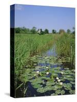 Wicken Fen and Wind Pump, Cambridgeshire, England, UK-Roy Rainford-Stretched Canvas