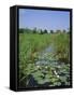 Wicken Fen and Wind Pump, Cambridgeshire, England, UK-Roy Rainford-Framed Stretched Canvas