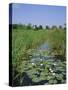 Wicken Fen and Wind Pump, Cambridgeshire, England, UK-Roy Rainford-Stretched Canvas