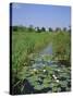 Wicken Fen and Wind Pump, Cambridgeshire, England, UK-Roy Rainford-Stretched Canvas