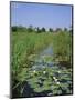 Wicken Fen and Wind Pump, Cambridgeshire, England, UK-Roy Rainford-Mounted Photographic Print