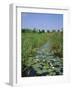 Wicken Fen and Wind Pump, Cambridgeshire, England, UK-Roy Rainford-Framed Photographic Print