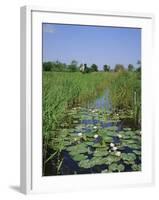 Wicken Fen and Wind Pump, Cambridgeshire, England, UK-Roy Rainford-Framed Photographic Print