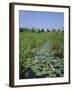 Wicken Fen and Wind Pump, Cambridgeshire, England, UK-Roy Rainford-Framed Photographic Print