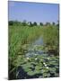 Wicken Fen and Wind Pump, Cambridgeshire, England, UK-Roy Rainford-Mounted Photographic Print