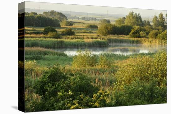 Wicken Fen Landscape, Cambridgeshire, UK, June 2011-Terry Whittaker-Stretched Canvas