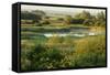 Wicken Fen Landscape, Cambridgeshire, UK, June 2011-Terry Whittaker-Framed Stretched Canvas