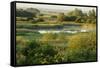 Wicken Fen Landscape, Cambridgeshire, UK, June 2011-Terry Whittaker-Framed Stretched Canvas