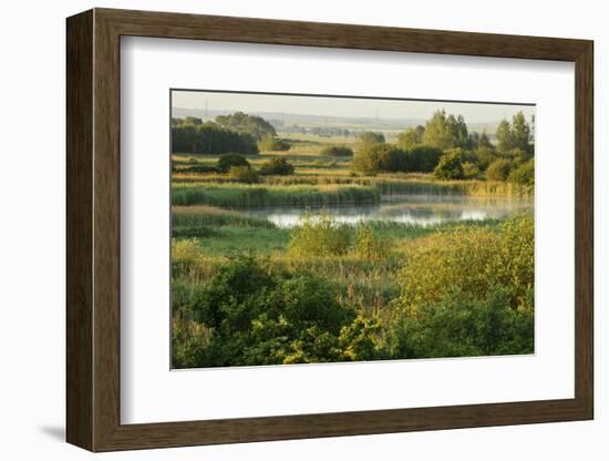 Wicken Fen Landscape, Cambridgeshire, UK, June 2011-Terry Whittaker-Framed Photographic Print