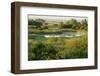 Wicken Fen Landscape, Cambridgeshire, UK, June 2011-Terry Whittaker-Framed Photographic Print