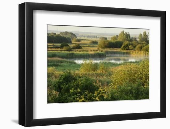 Wicken Fen Landscape, Cambridgeshire, UK, June 2011-Terry Whittaker-Framed Photographic Print