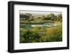 Wicken Fen Landscape, Cambridgeshire, UK, June 2011-Terry Whittaker-Framed Photographic Print