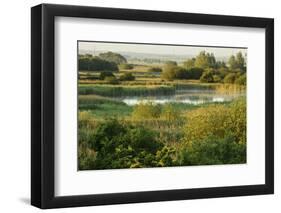 Wicken Fen Landscape, Cambridgeshire, UK, June 2011-Terry Whittaker-Framed Photographic Print