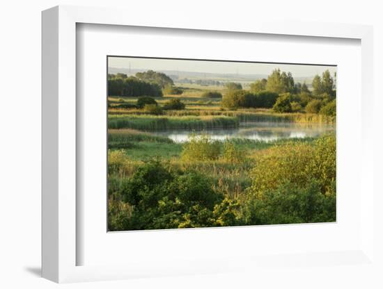 Wicken Fen Landscape, Cambridgeshire, UK, June 2011-Terry Whittaker-Framed Photographic Print